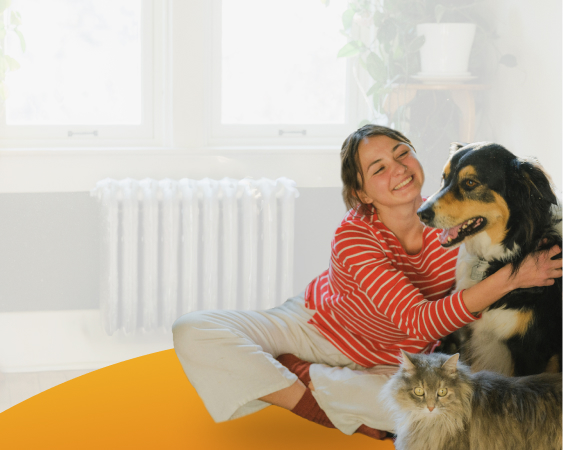 Animais de companhia