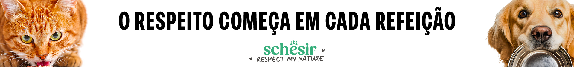 Schesir