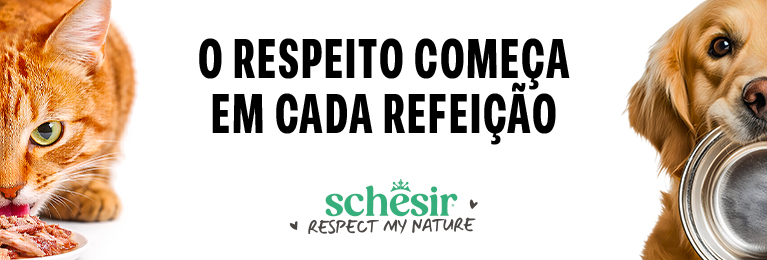 Schesir
