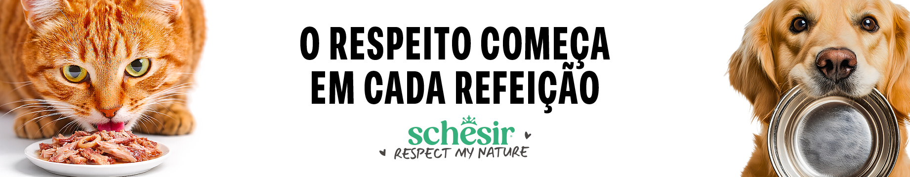Schesir