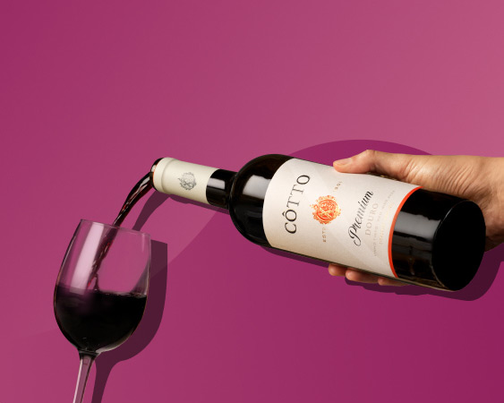Vinhos, Enchidos e Queijos